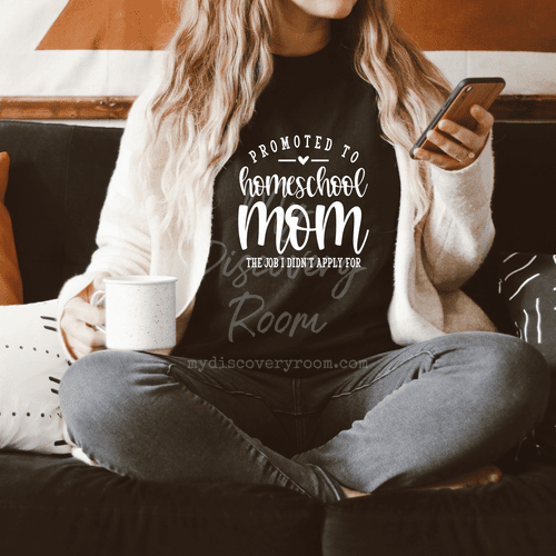 Promoted to Homeschool Mom - MyDiscoveryRoom